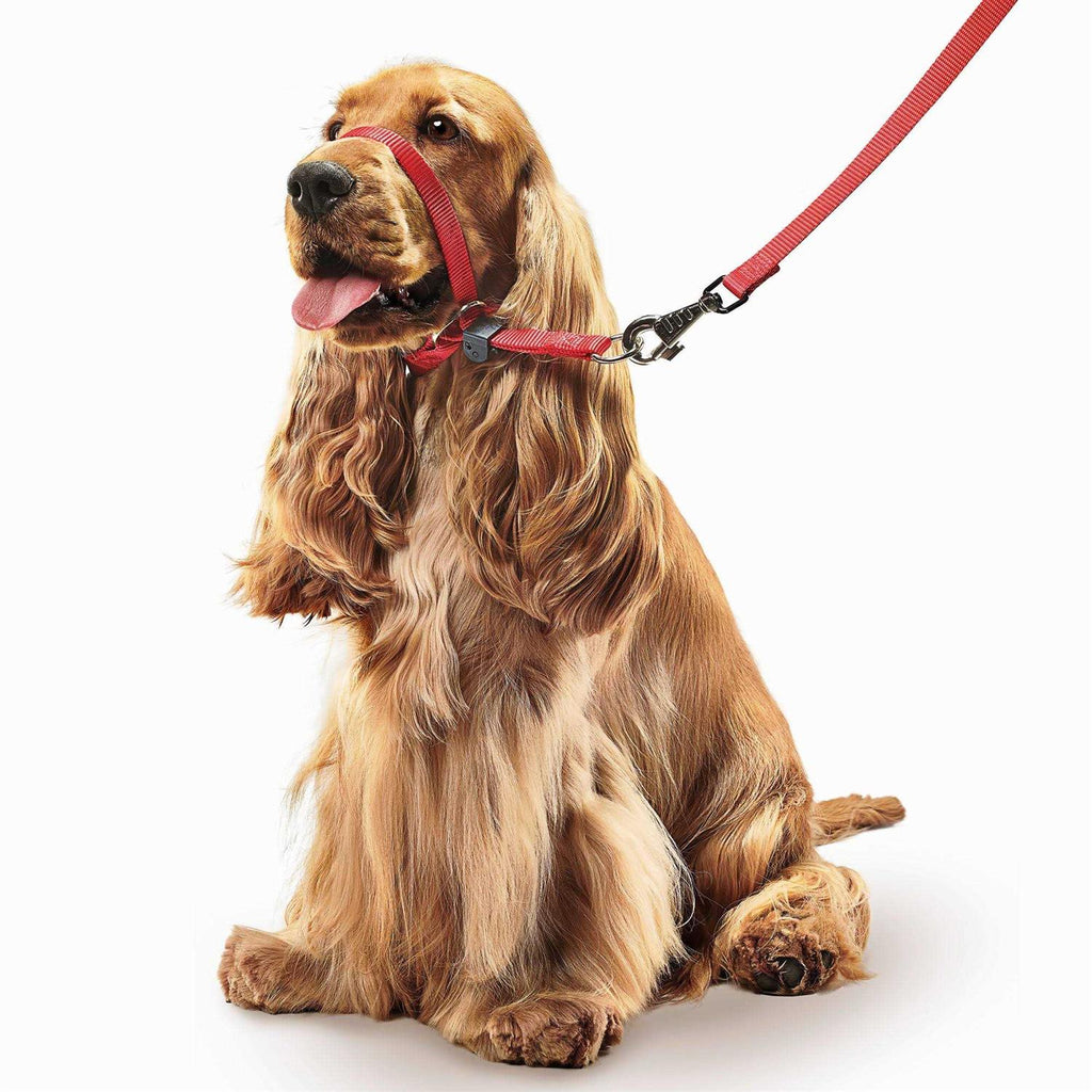 Gentle Leader Head Collar Dogs B35438