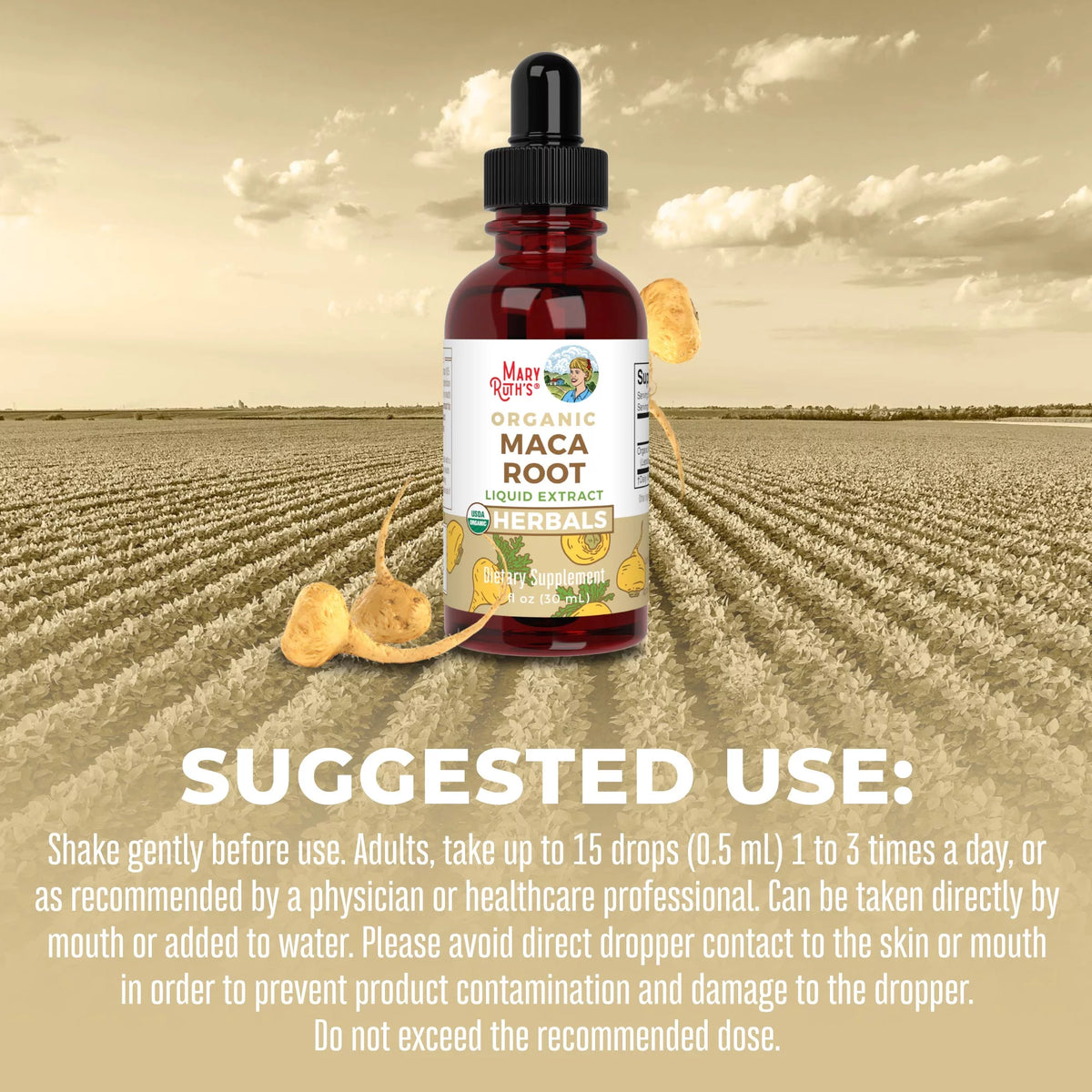 USDA Organic Maca Root Liquid Drops 1 fl oz Y962223