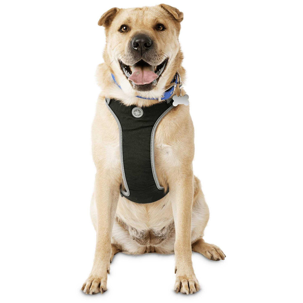 Black Large Dog Harness Z1812