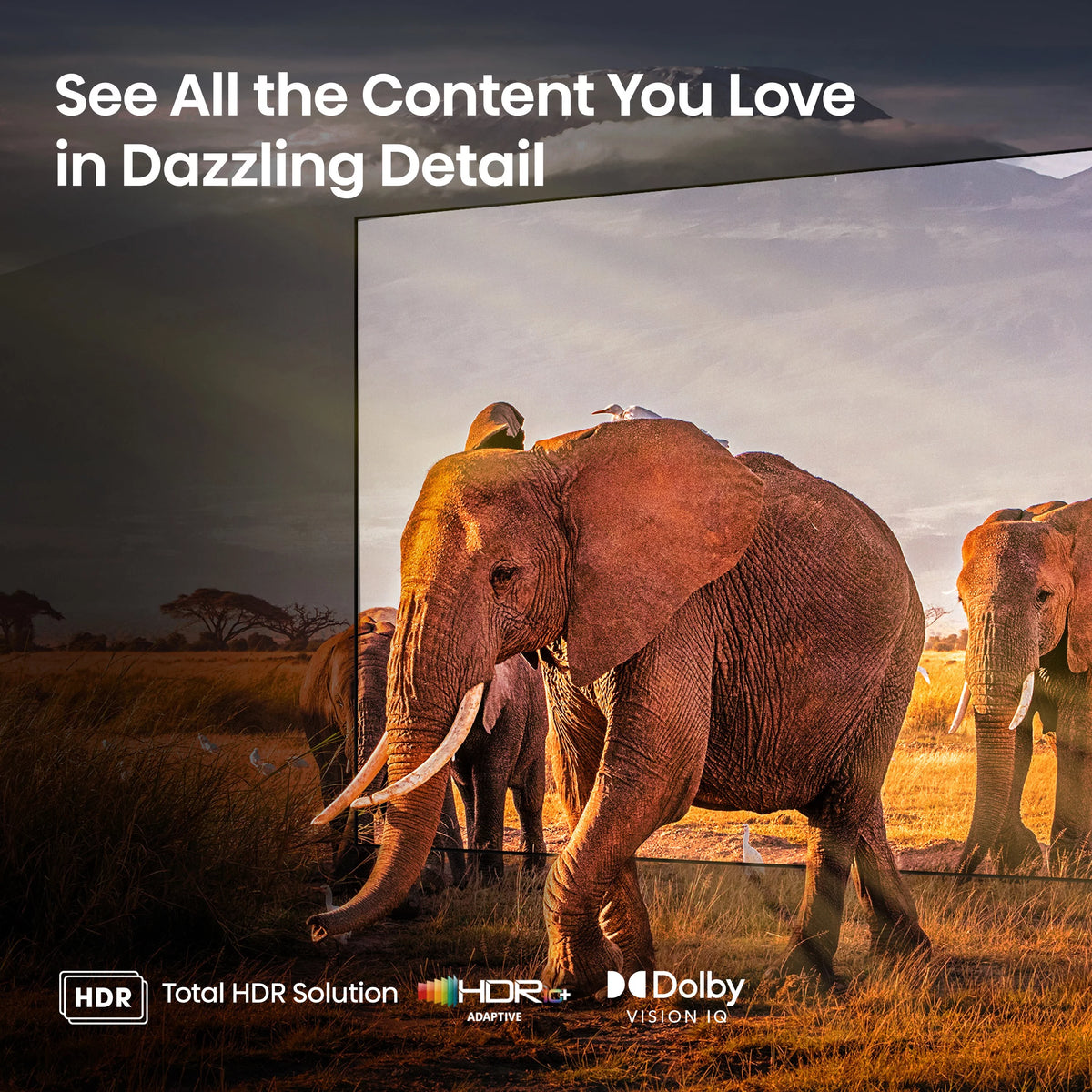 55-Inch Mini-LED QLED Google Smart TV D5348