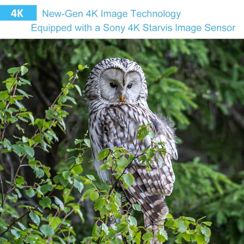 4K 64MP Trail Camera with Night Vision Z9884