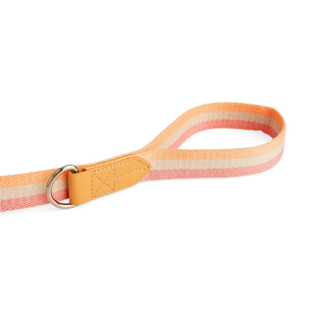 Dog Leash M965423