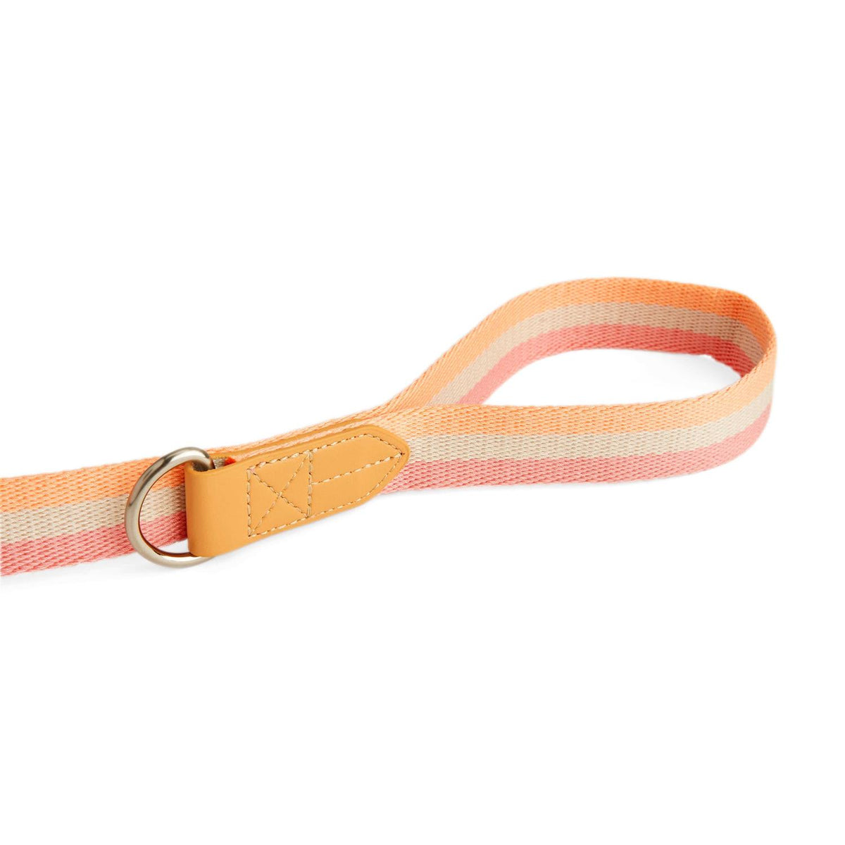 Dog Leash M965423
