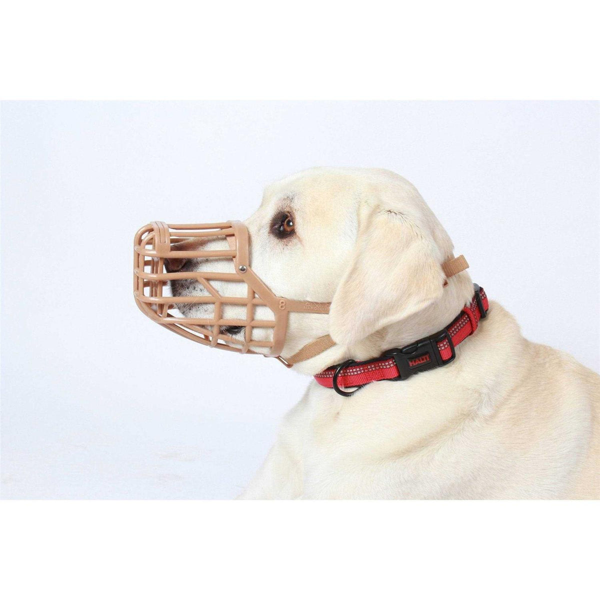 Muzzle Z227423