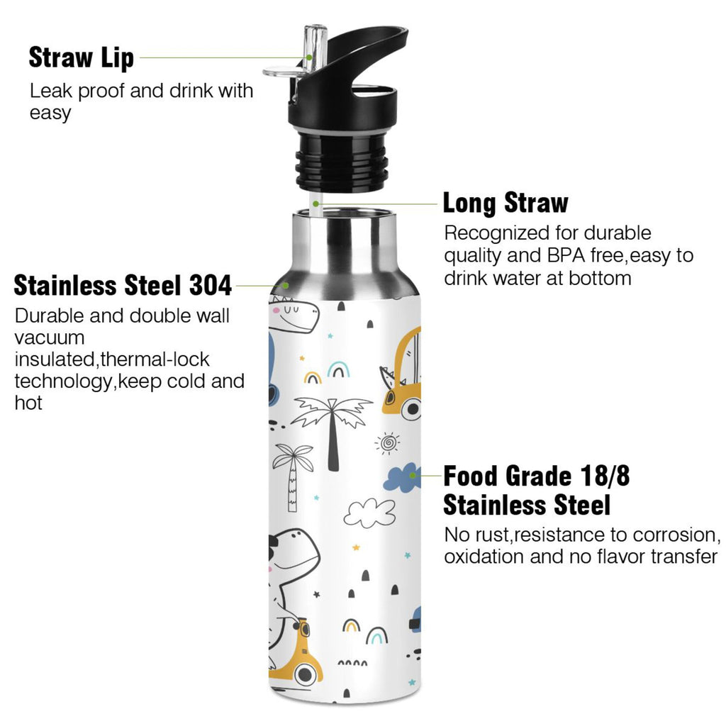 Stainless Steel Insulated Water Bottle with Straw Lid Z37645