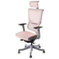 Ergonomic Mesh-Back Office Chair with Adjustable 5D Armrests A717