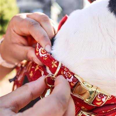 Pet Bells S496035
