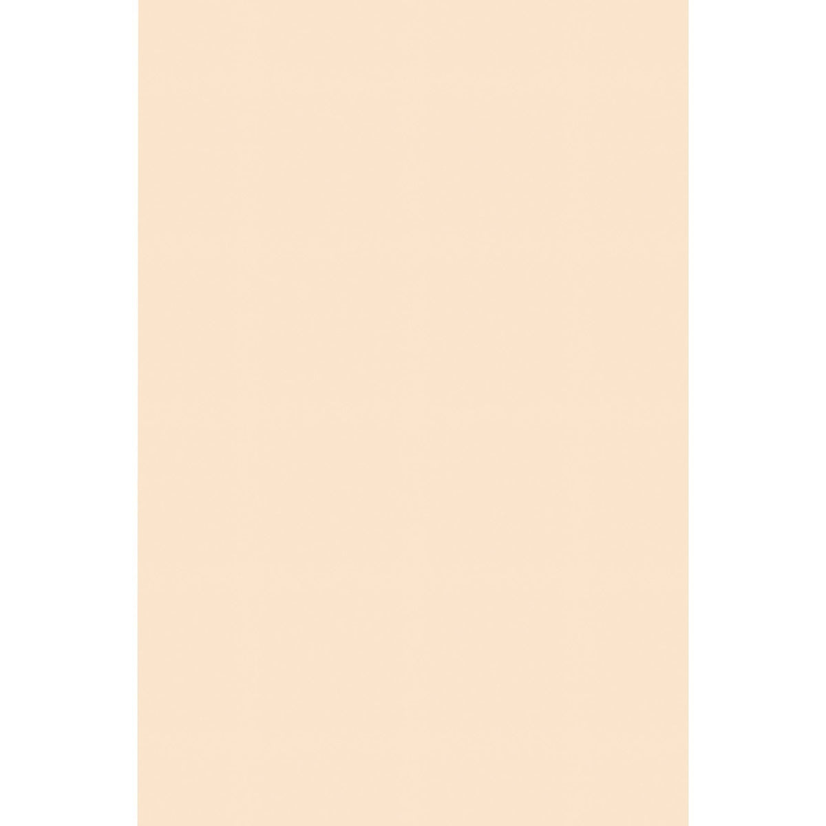 Manila Tagboard E613753
