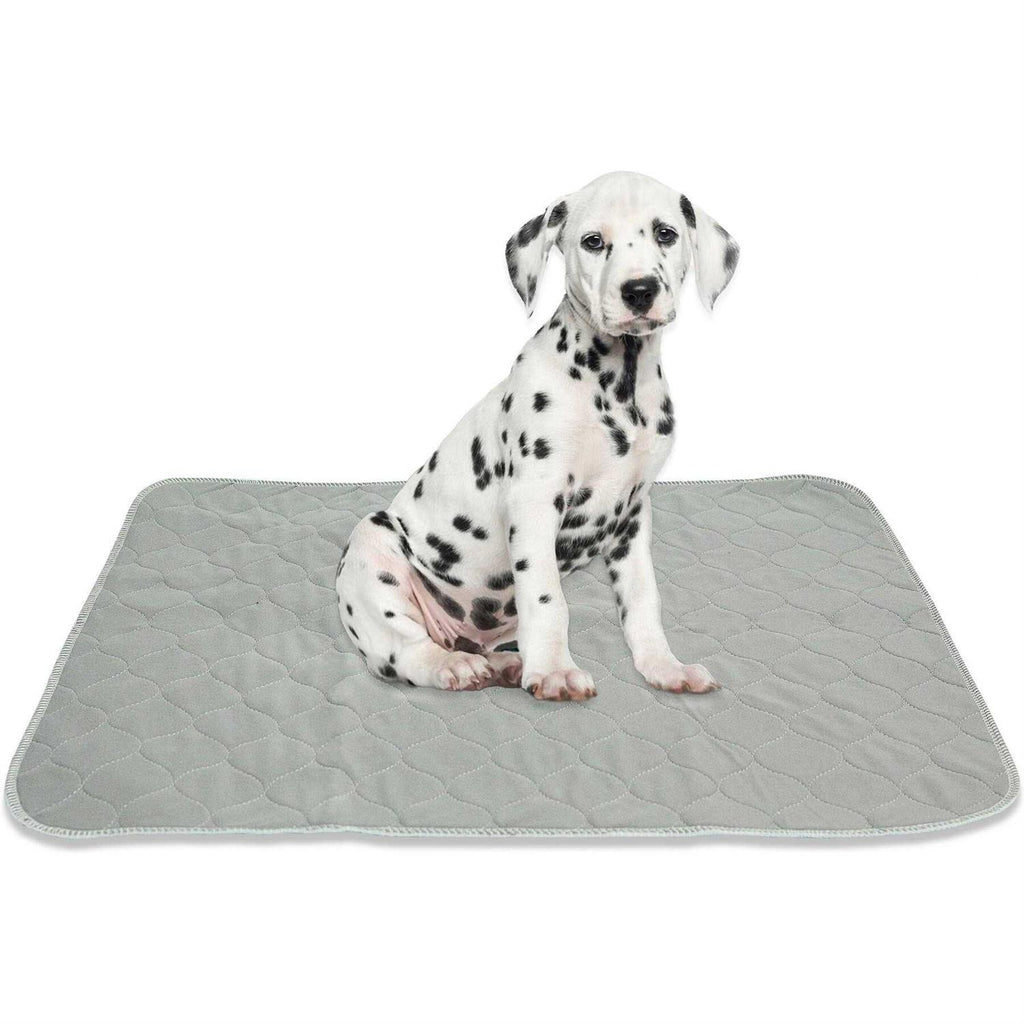 Washable Reusable Pee Pads for Dogs I214983