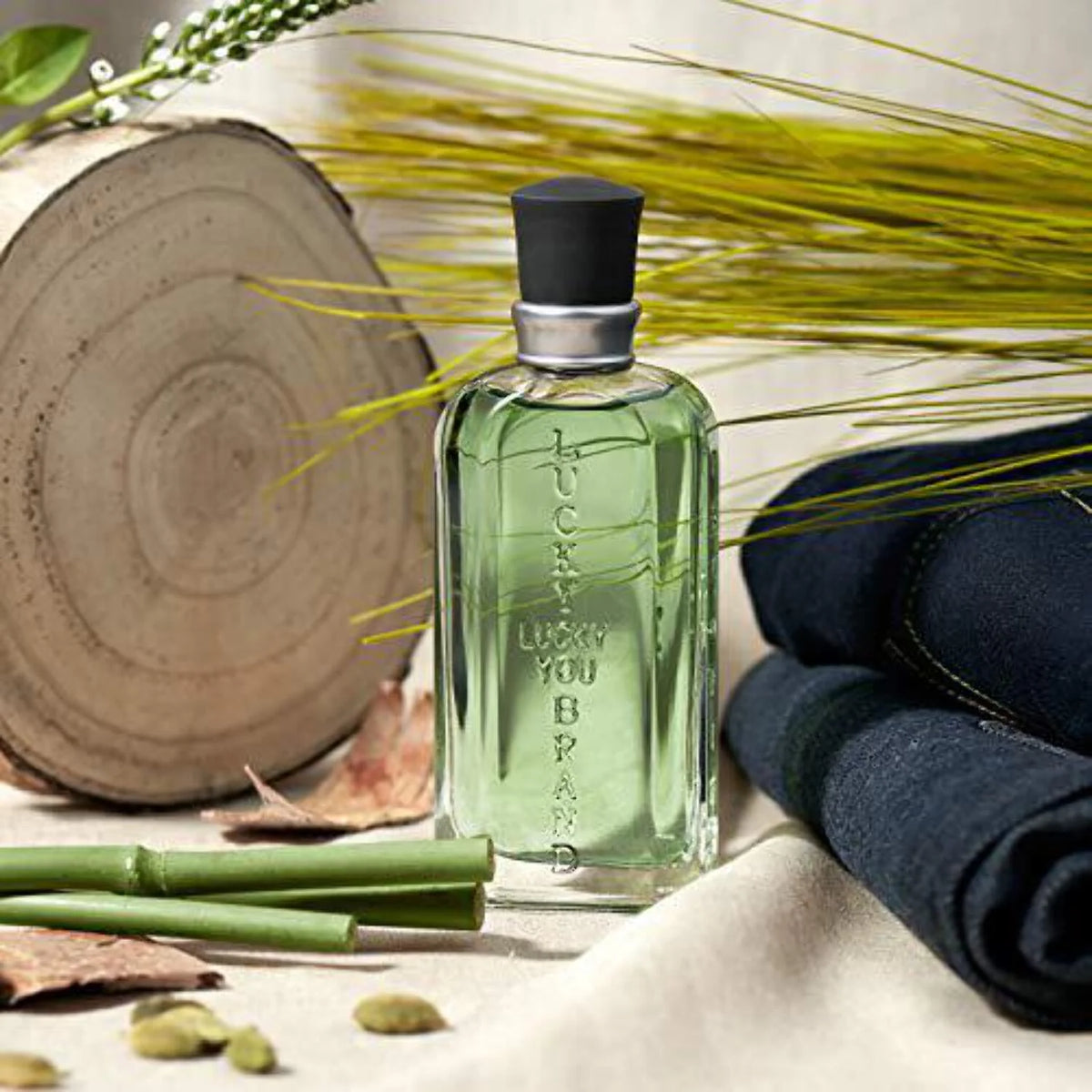 Cologne Spray with Bamboo Stem Fragrance Notes 3.4 Ounce D834