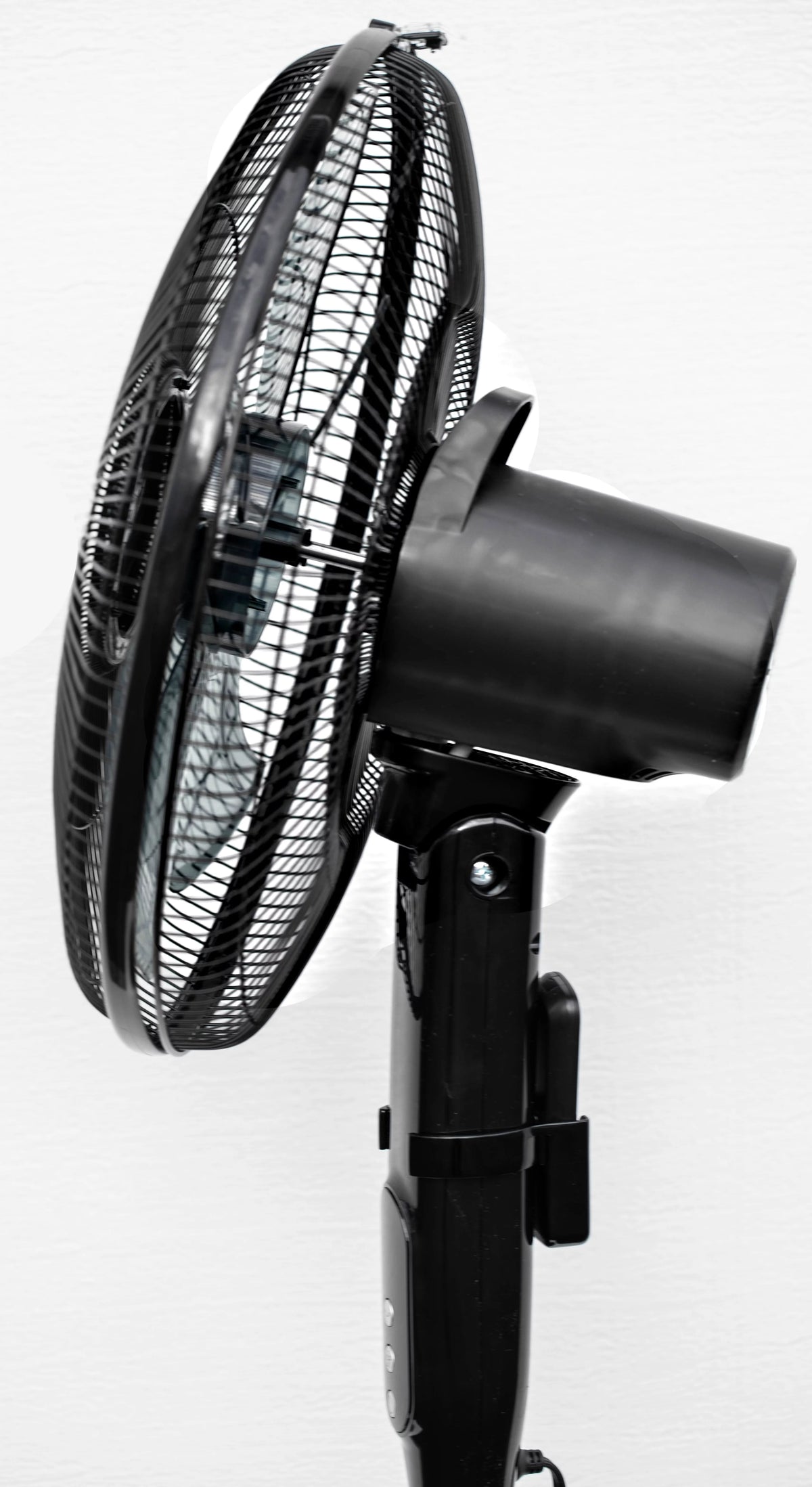 16 12-Speed Adjustable Height Pedestal Fan with Remote Control, Black K650871