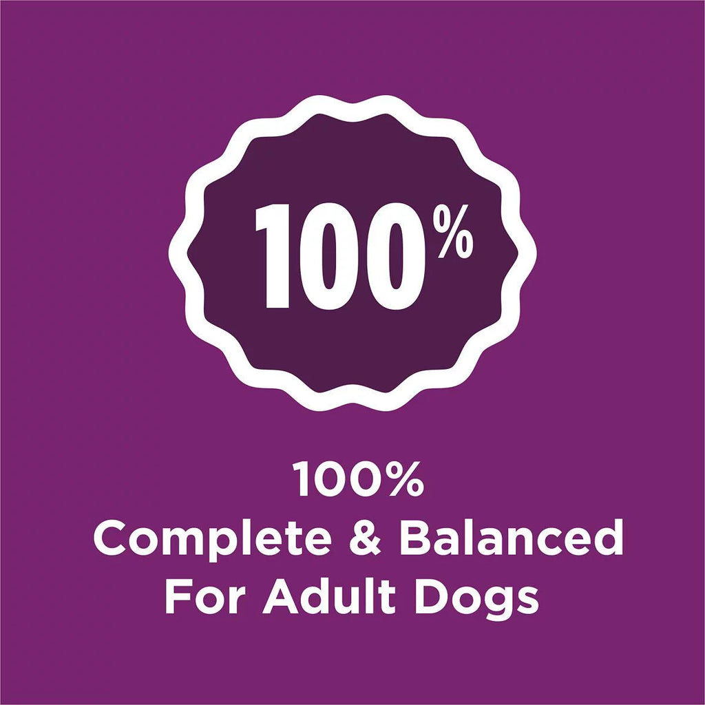 Complete Adult Dry Dog Food With Lamb Flavor 44 lb S8698