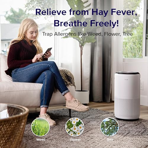 Air Purifier N8698