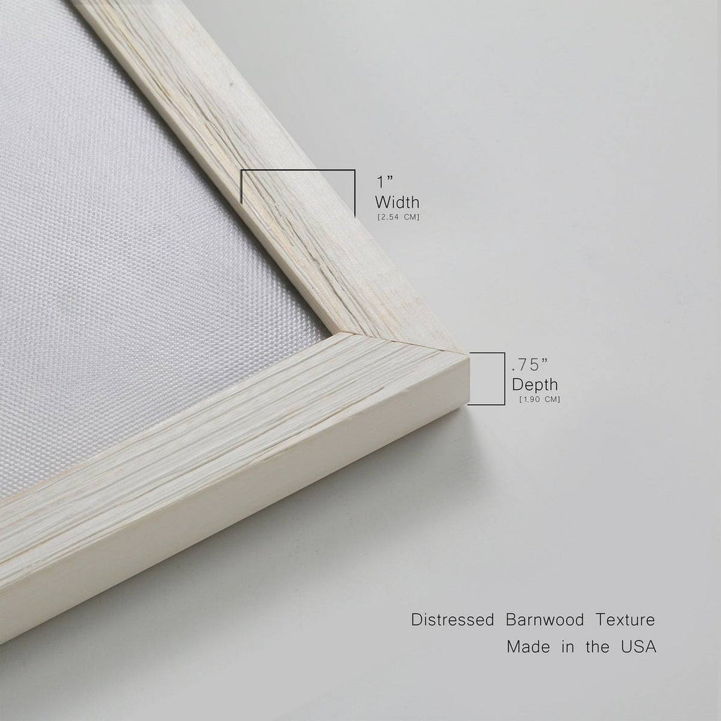 Framed Canvas 31.5x31.5 Maple D315