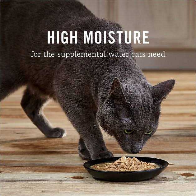 Grain-Free Chicken Recipe in Broth Canned Cat Food U362