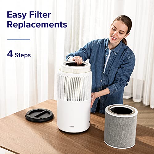 Air Purifier N8698
