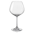 Burgundy Wine Glasses Set of 6 P52002