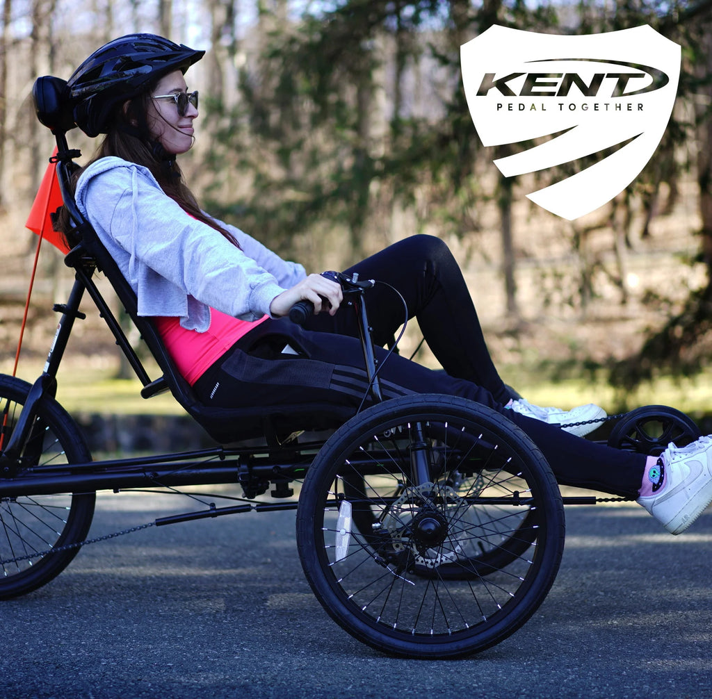 Black 3-Wheel Recumbent Bike C38932
