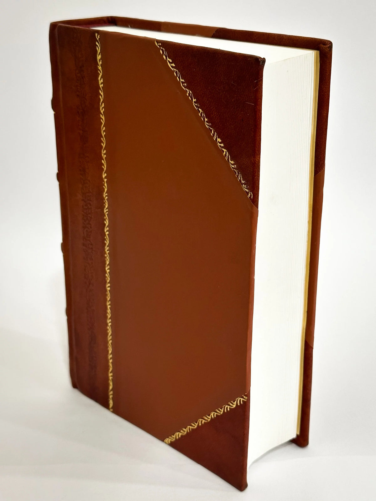 Etchings and Notices of Ancient Remains Leather Bound Q57913