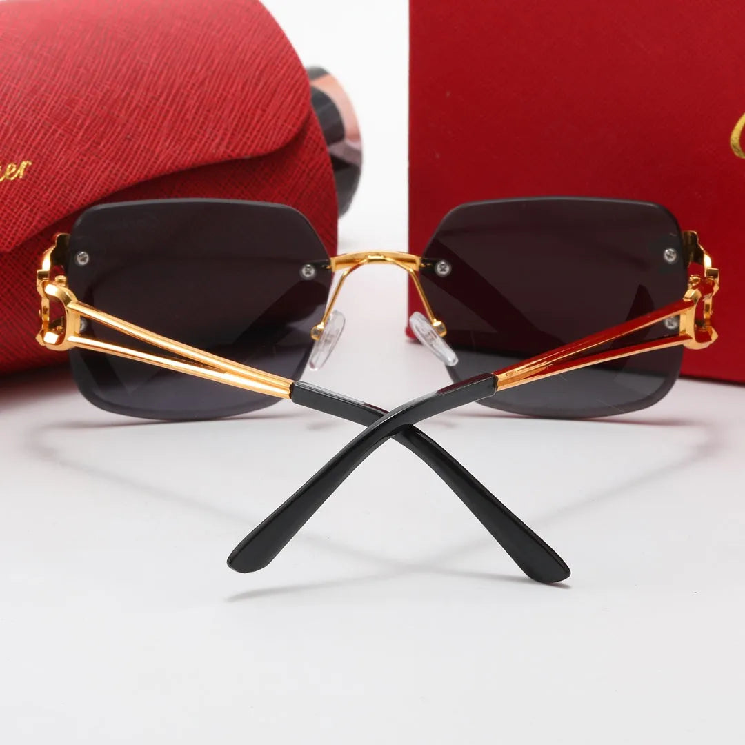 Leopard Frame Polarized Sunglasses X47450