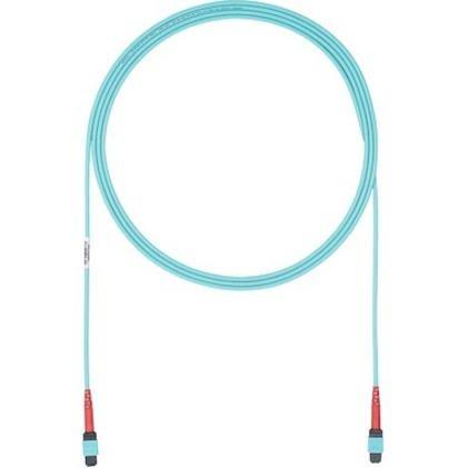 Fiber Optic Network Cable 69 ft V774245