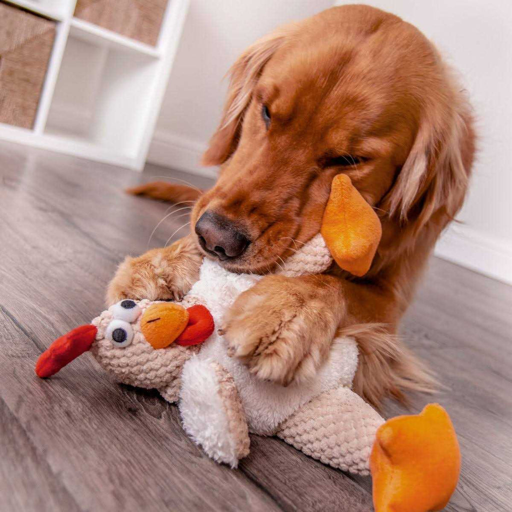 Dog Toy V598