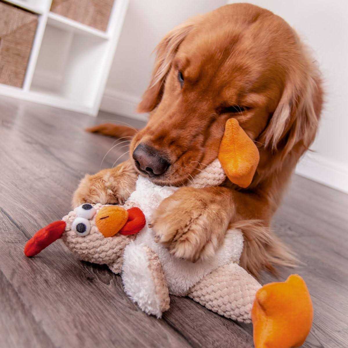 Dog Toy V598