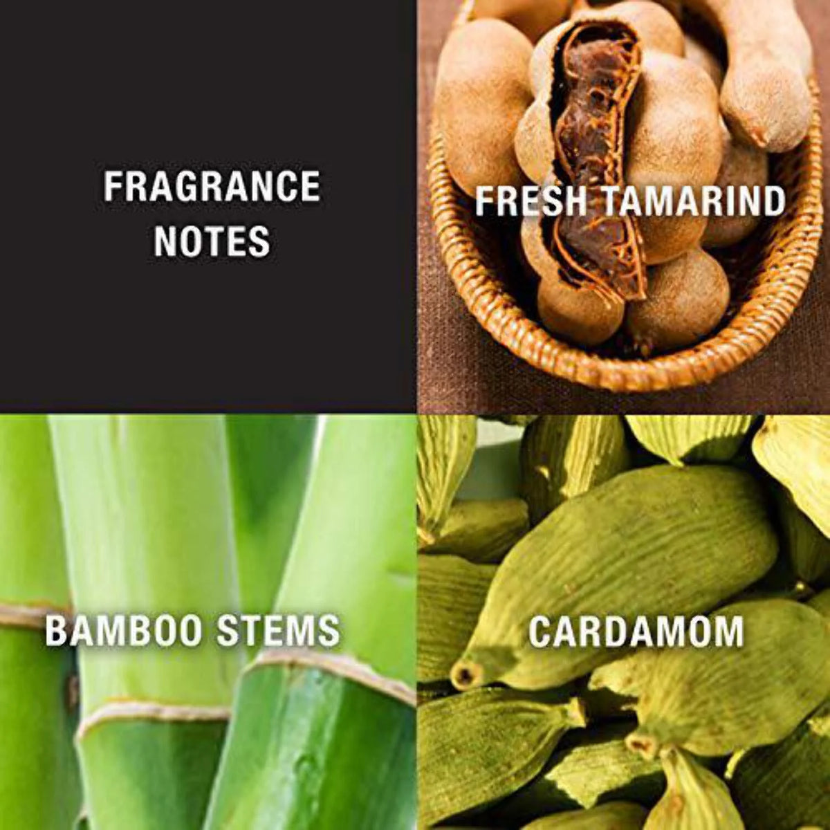 Cologne Spray with Bamboo Stem Fragrance Notes 3.4 Ounce D834