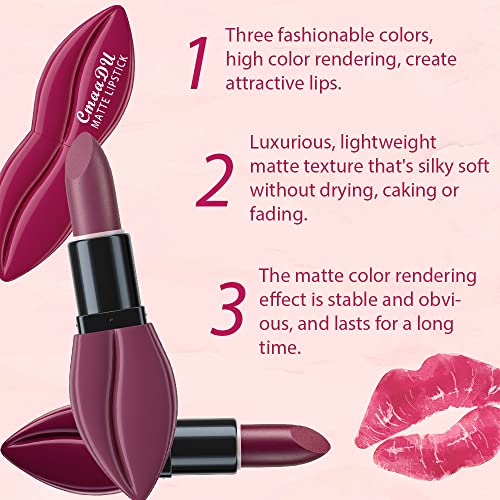 5Pcs Dark Light Bright Red Matte Lipstick Pack Sets M1462