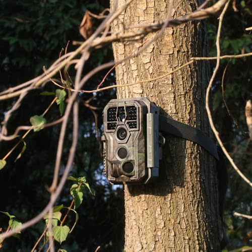 4K 64MP Trail Camera with Night Vision Z9884