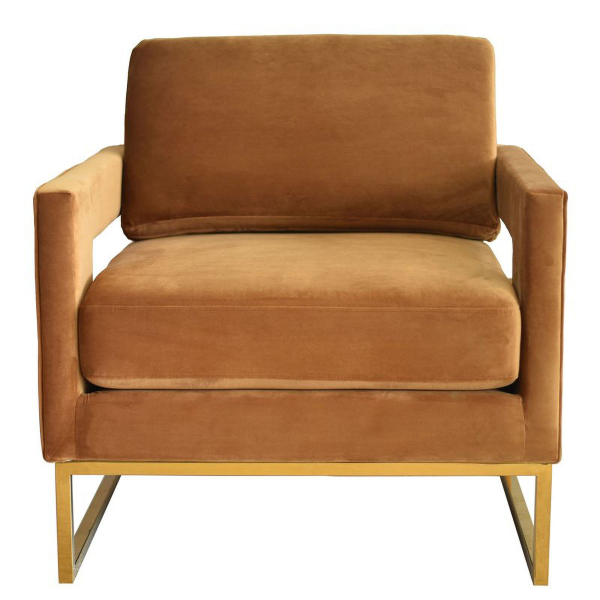 Velvet & Stainless Steel Accent Chair A3456