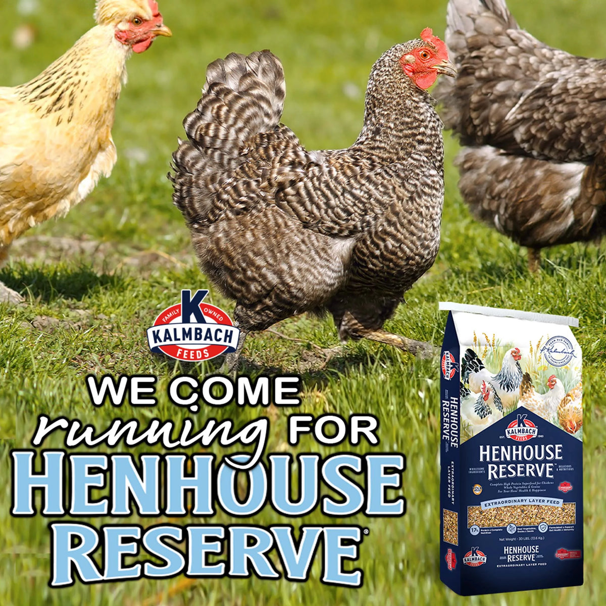 30 lb Whole Grain Layer Feed H776