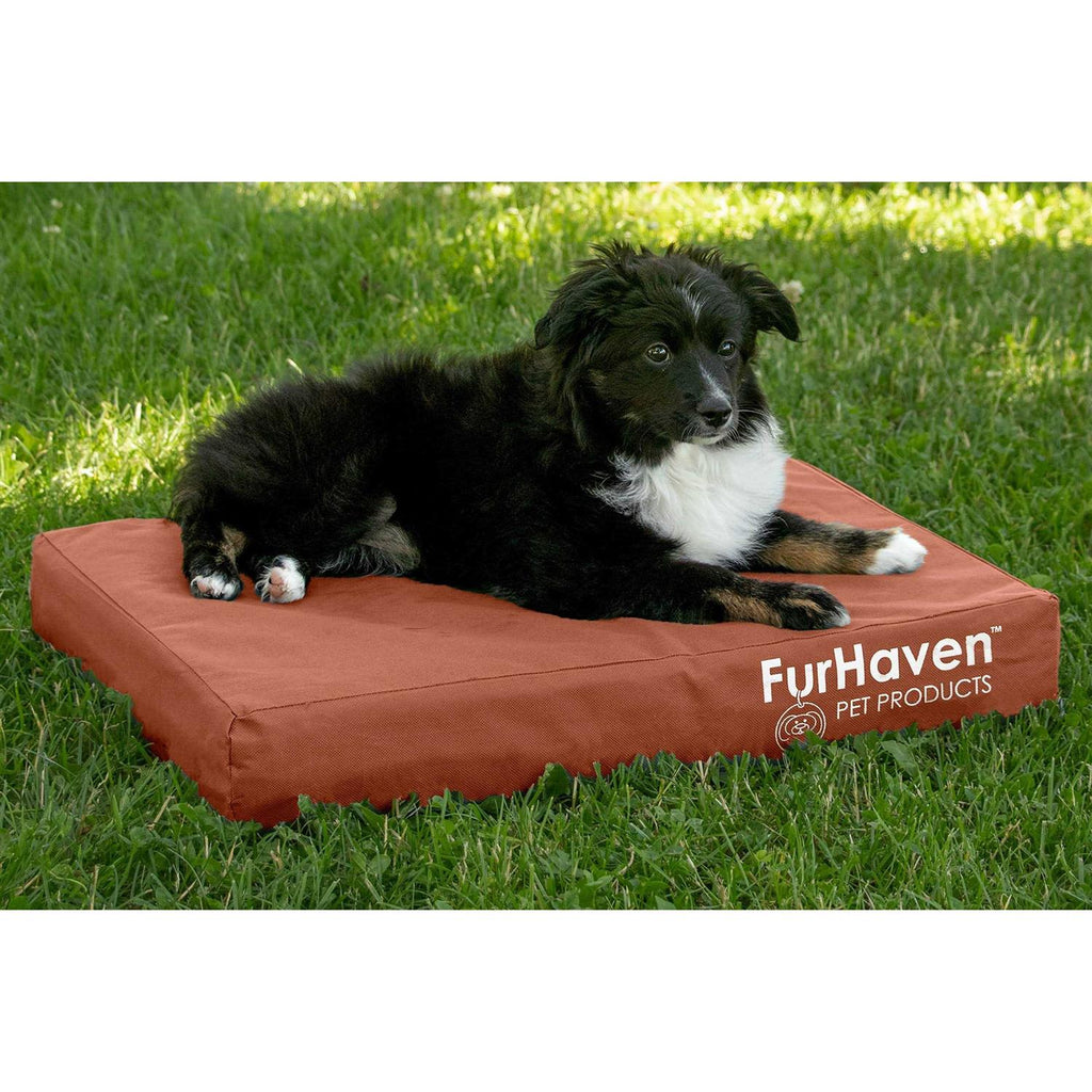 Dog Bed L994200