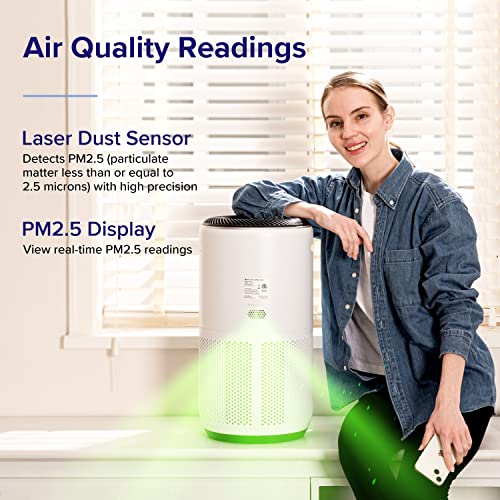 Air Purifier N8698