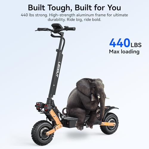Electric Scooter, 5600W Motor, 59Mi Range Y608