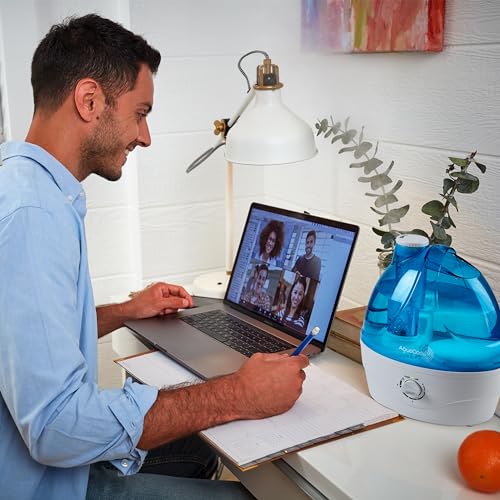 Cool Mist Humidifier 2.2L Ultrasonic Humidifier A3923