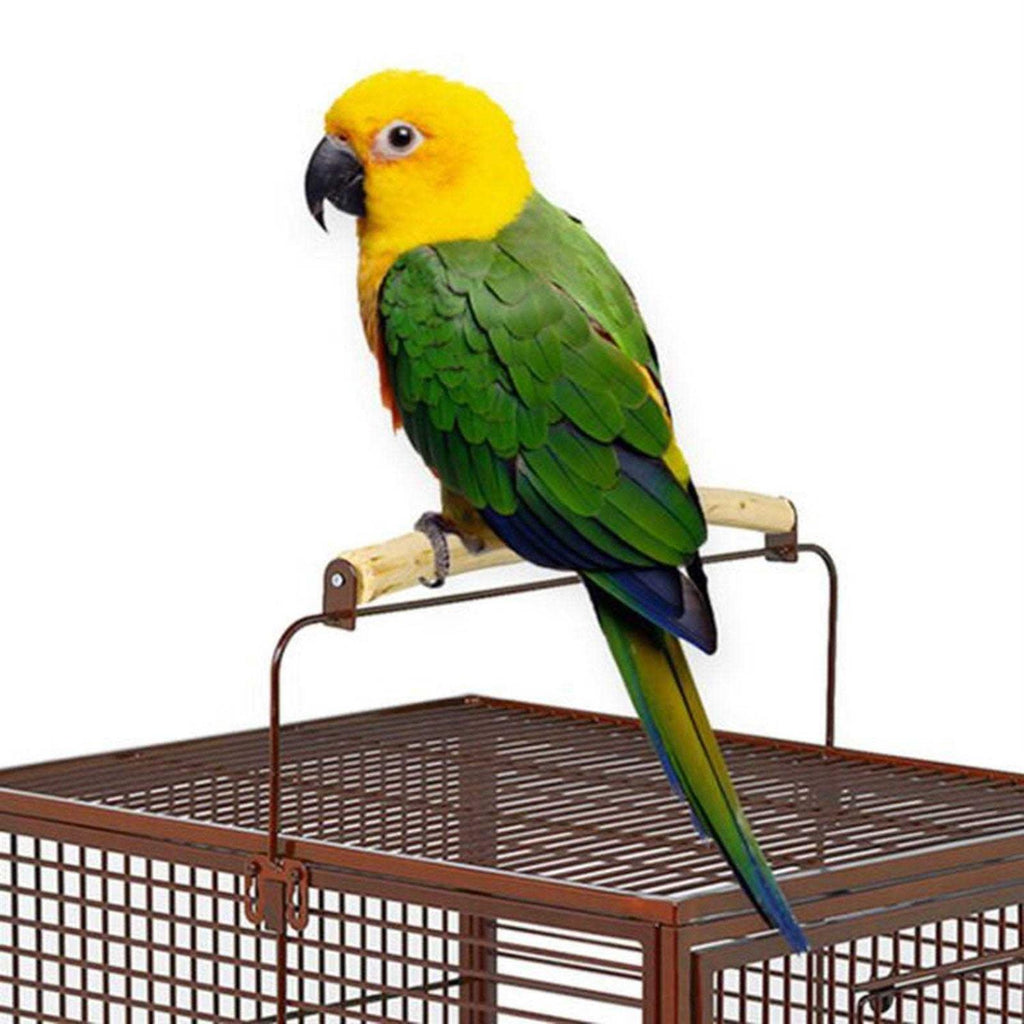 Avian Hotel A225635