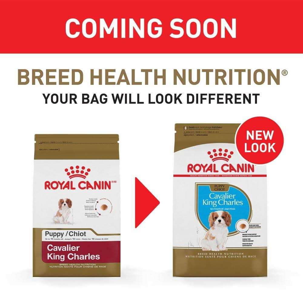 Puppy Dry Dog Food W963