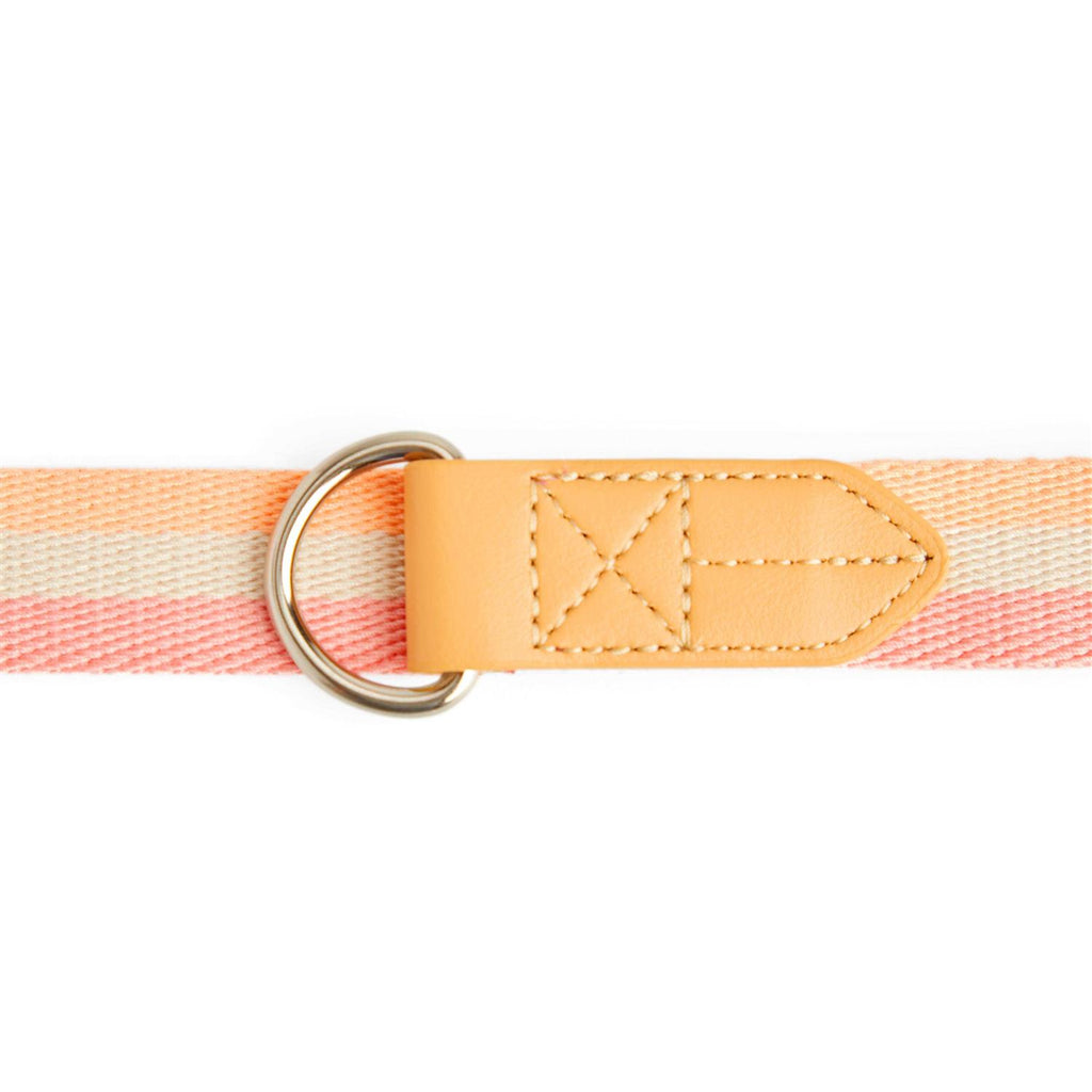 Dog Leash M965423