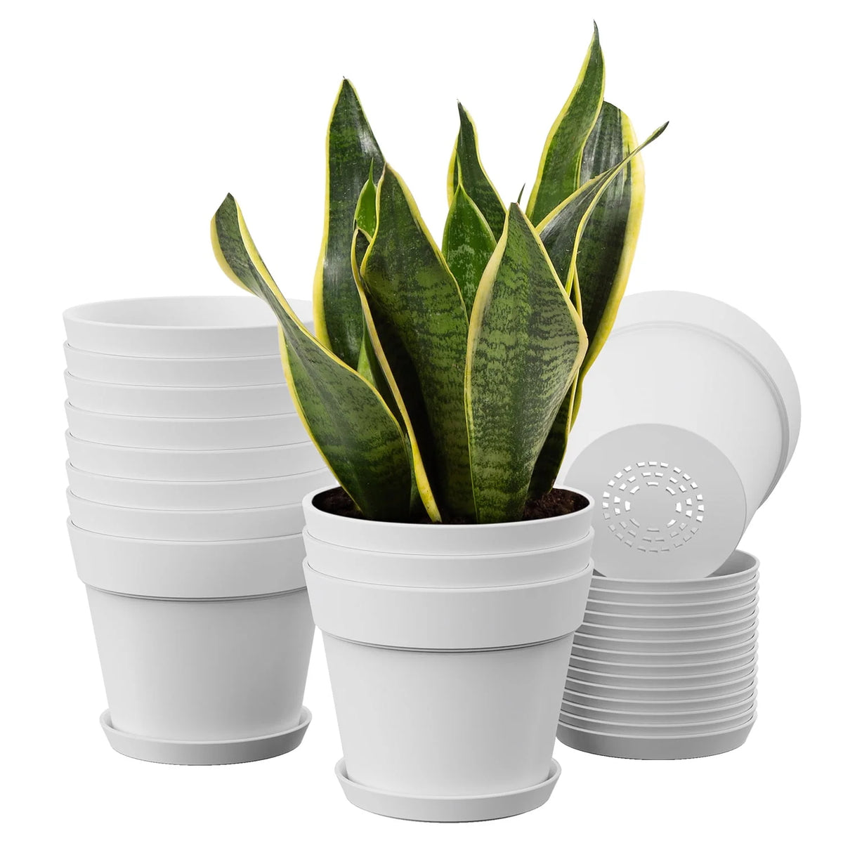 6 Inch Plastic Planters 16 Pack White S61443