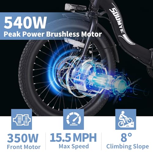 Electric Tricycle 20" 3 Wheels Folding 350W Step-Thru Removable Battery W4909