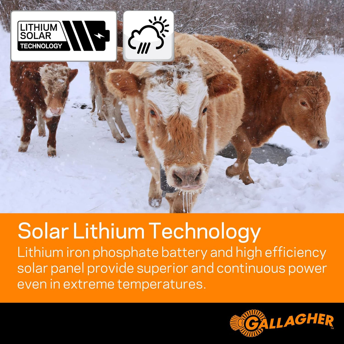 Solar Electric Fence Charger 0.2 Joule O5696