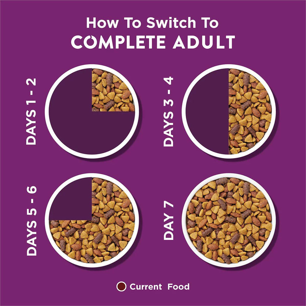 Complete Adult Dry Dog Food With Lamb Flavor 44 lb S8698