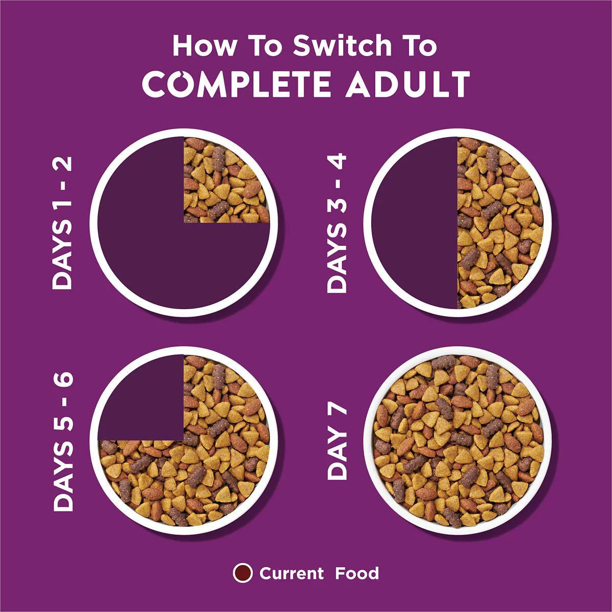 Complete Adult Dry Dog Food With Lamb Flavor 44 lb S8698