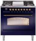 Blue Dual Fuel Natural Gas Range D9647