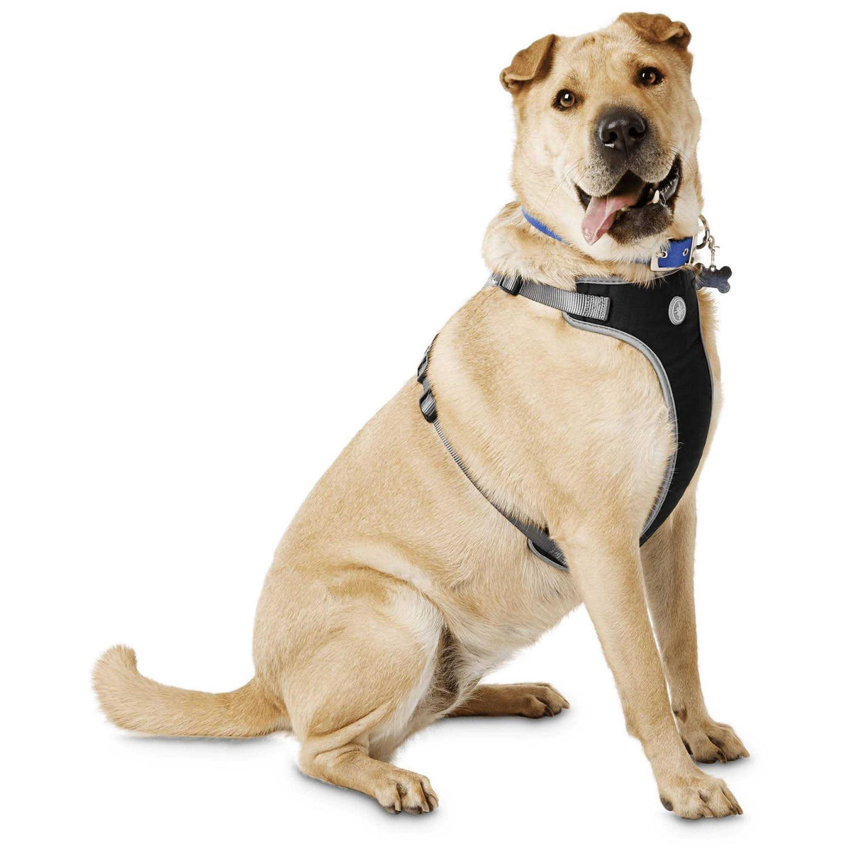 Black Large Dog Harness Z1812