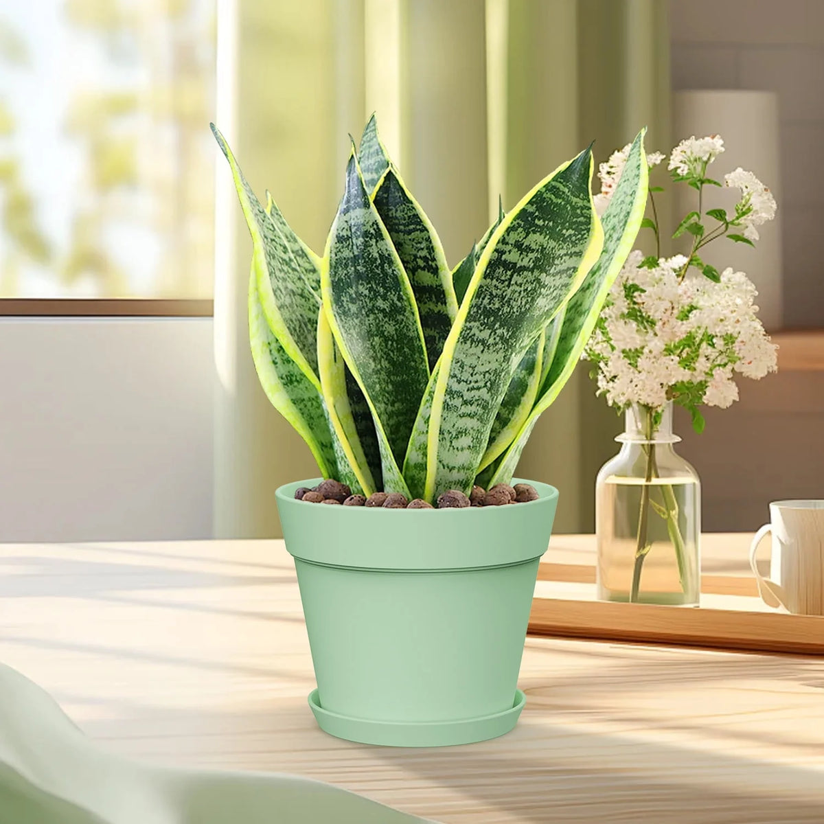6 Inch Plastic Planters 16 Pack White S61443