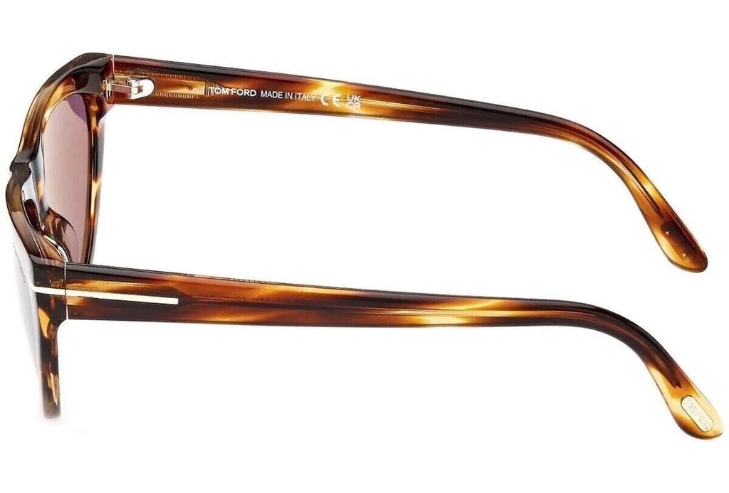 Havana Frame Sunglasses Y2489