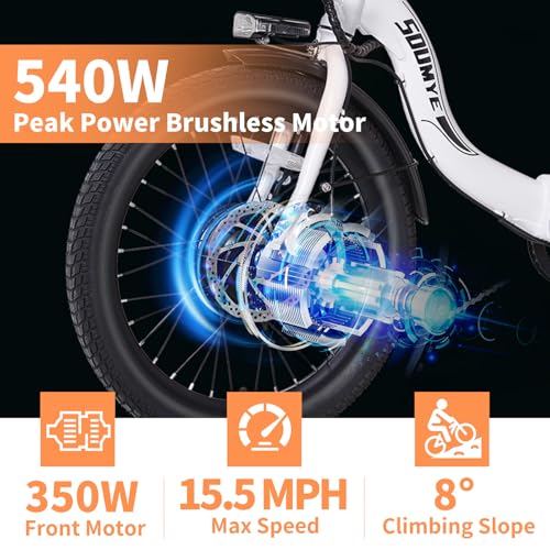 Electric Tricycle 20" 3 Wheels Folding 350W Step-Thru Removable Battery W4909