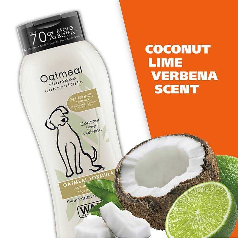 Oatmeal Coconut Lime Verbena Shampoo Concentrate H761